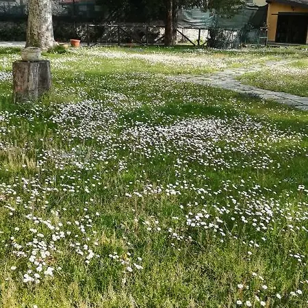 Oda ve Kahvaltı La Nuova Tinara *
